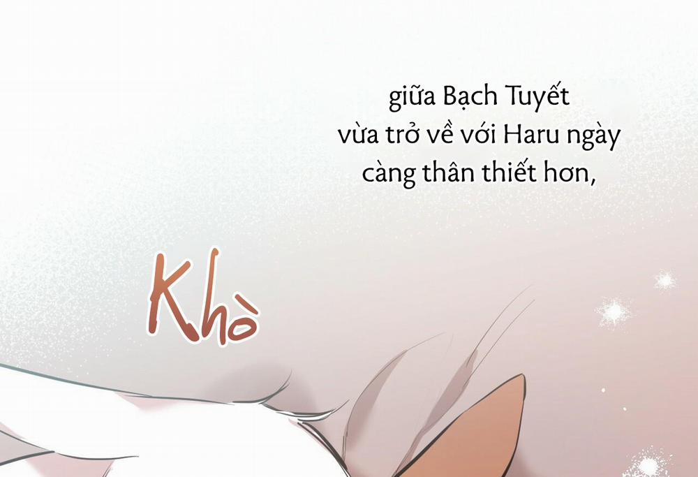 Đàn Thỏ Của Habibi 28 trang 39