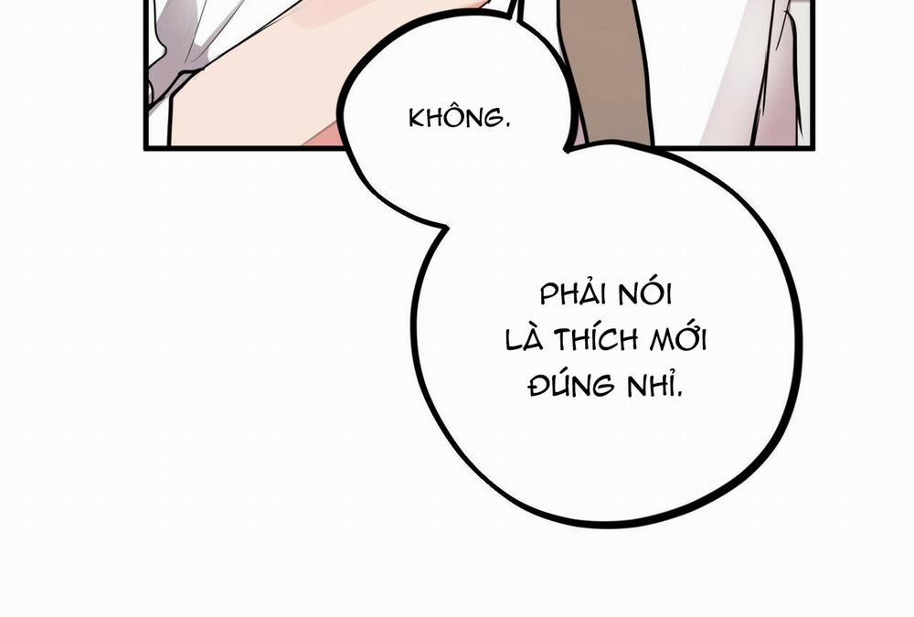 Đàn Thỏ Của Habibi 28 trang 91