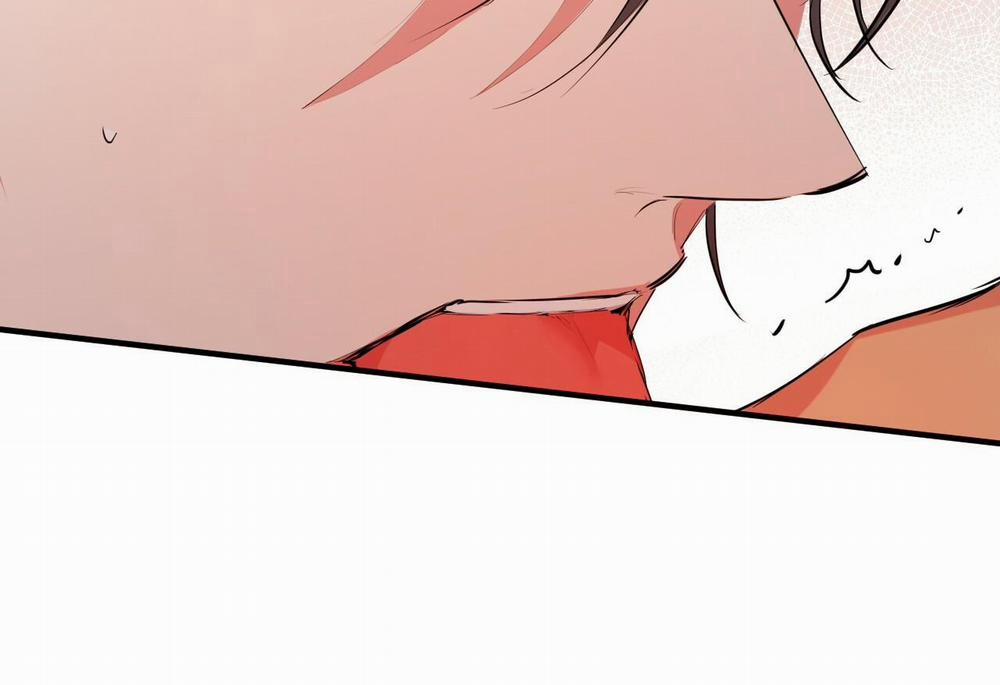 Đàn Thỏ Của Habibi 29 trang 104