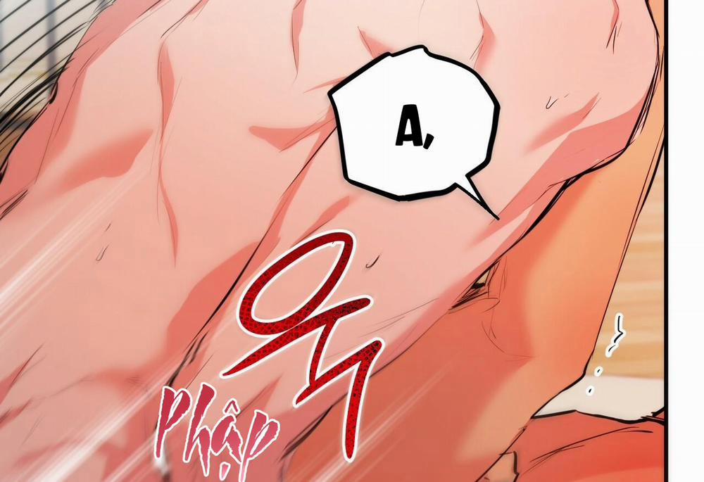 Đàn Thỏ Của Habibi 29 trang 116