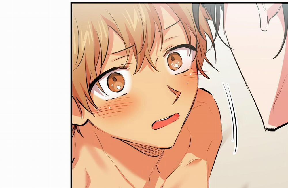 Đàn Thỏ Của Habibi 29 trang 173