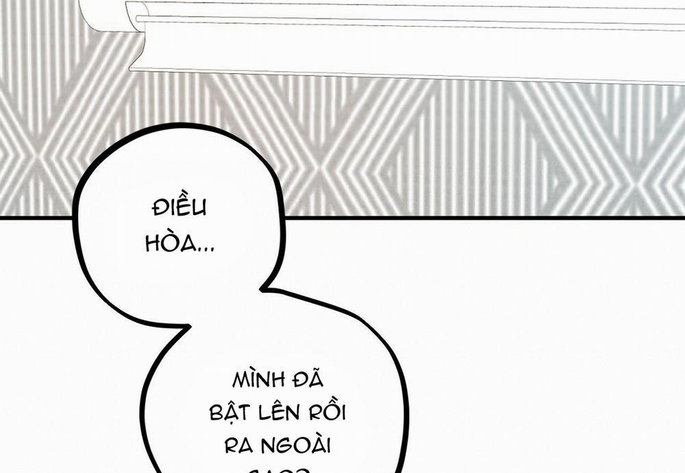 Đàn Thỏ Của Habibi 29 trang 205