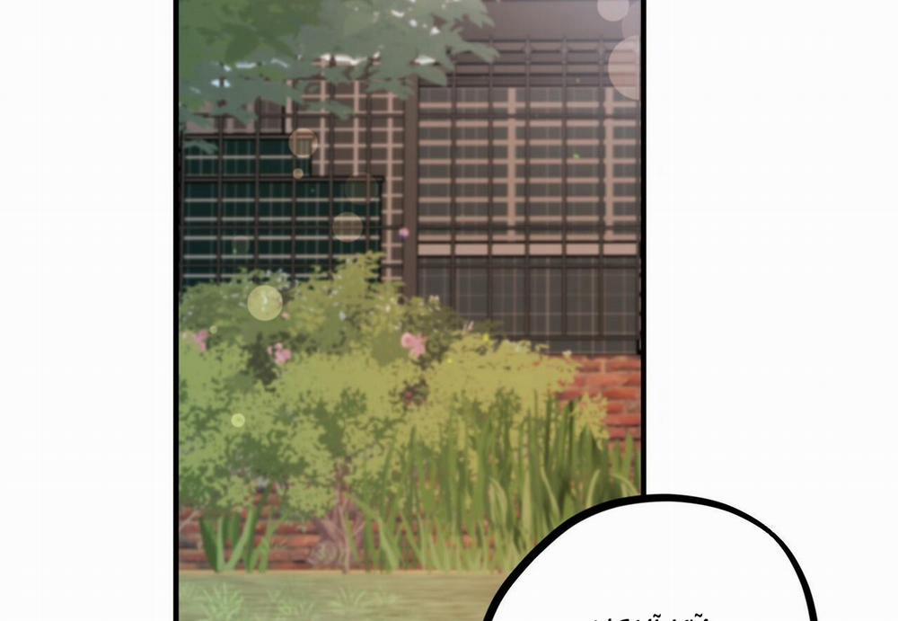 Đàn Thỏ Của Habibi 29 trang 208