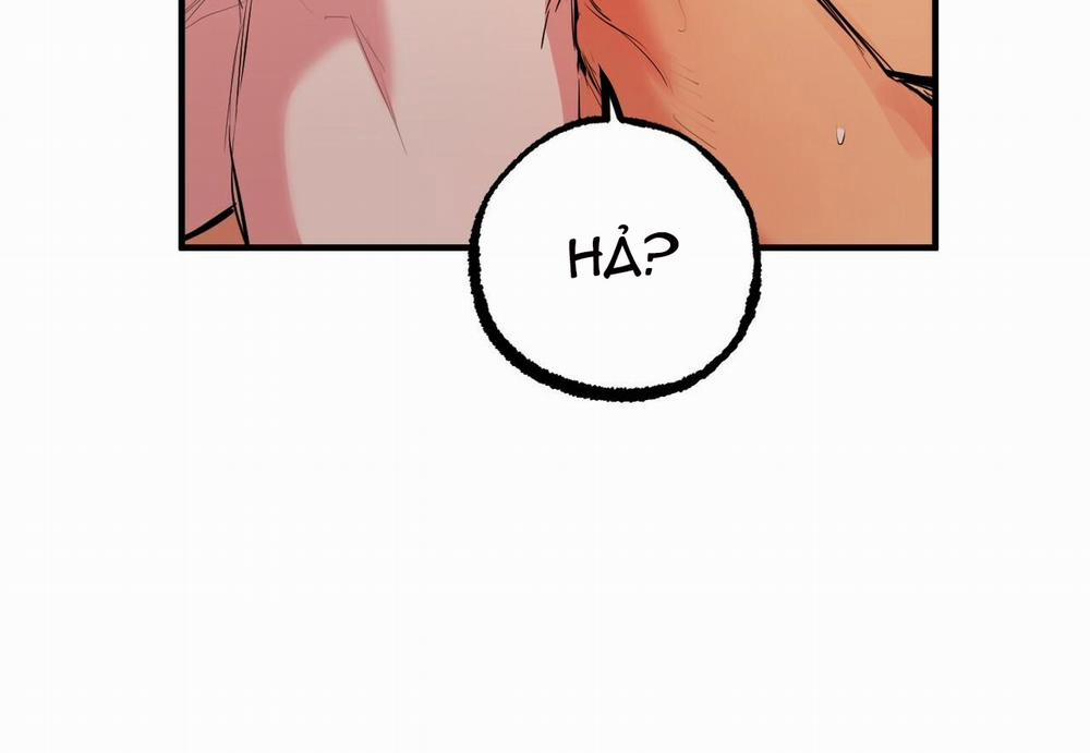 Đàn Thỏ Của Habibi 29 trang 27