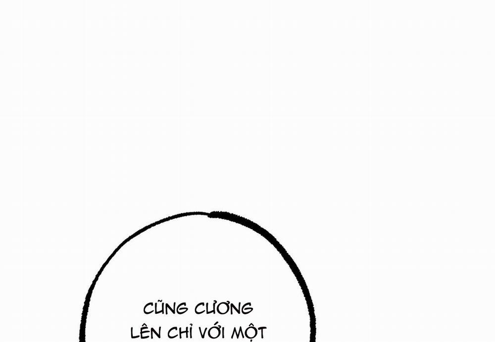 Đàn Thỏ Của Habibi 29 trang 28