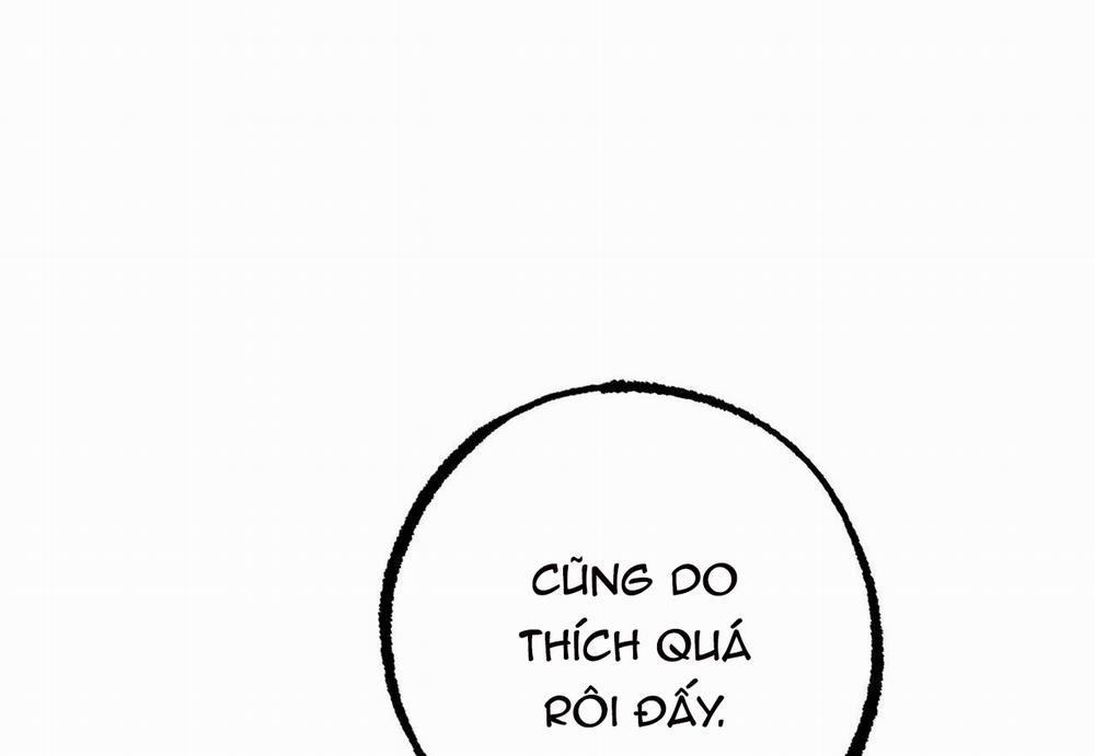 Đàn Thỏ Của Habibi 29 trang 34