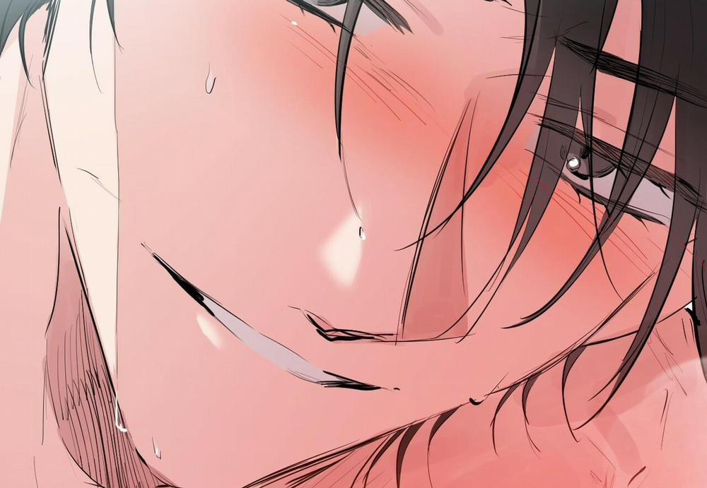 Đàn Thỏ Của Habibi 29 trang 54