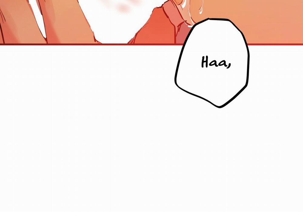 Đàn Thỏ Của Habibi 29 trang 66