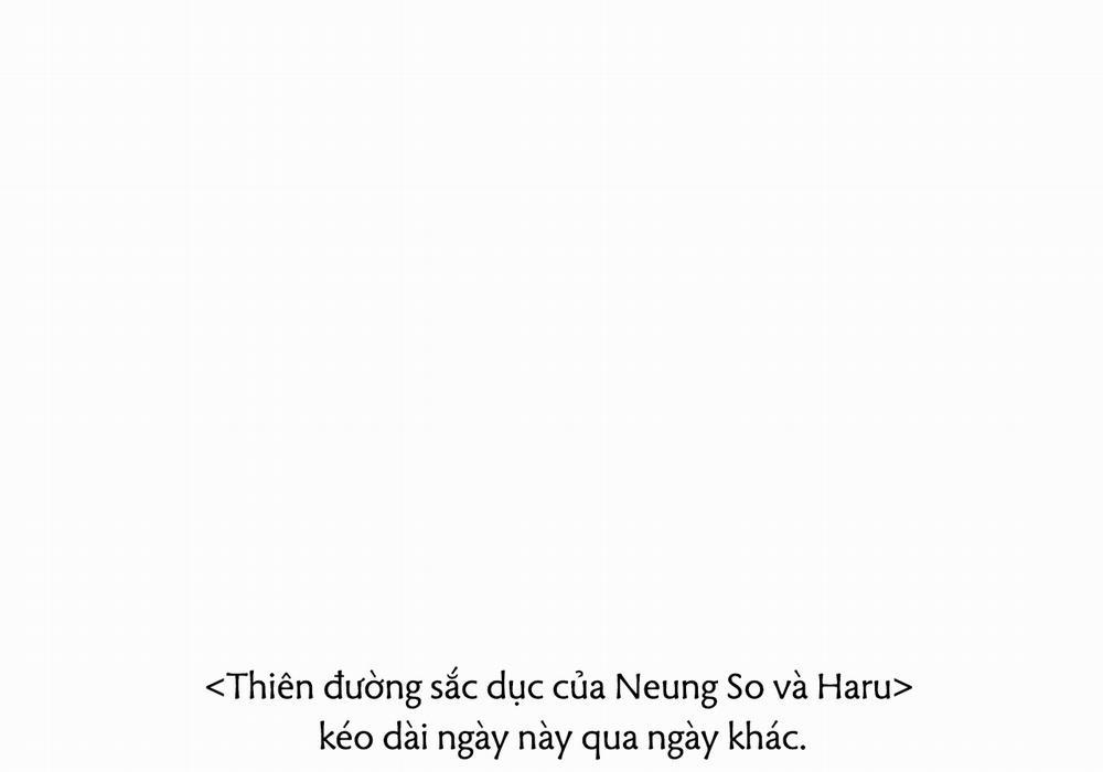 Đàn Thỏ Của Habibi 29 trang 7