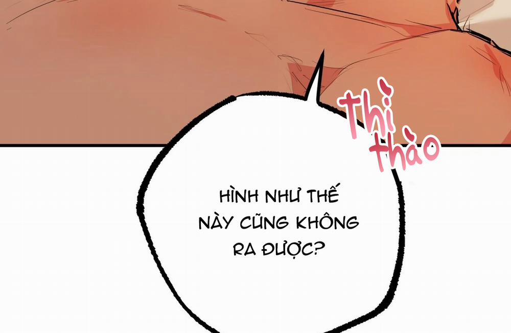 Đàn Thỏ Của Habibi 29 trang 82