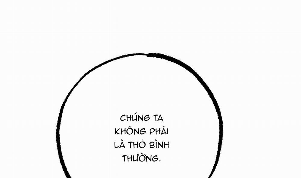 Đàn Thỏ Của Habibi 30 trang 172