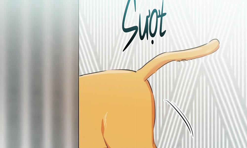 Đàn Thỏ Của Habibi 30 trang 232