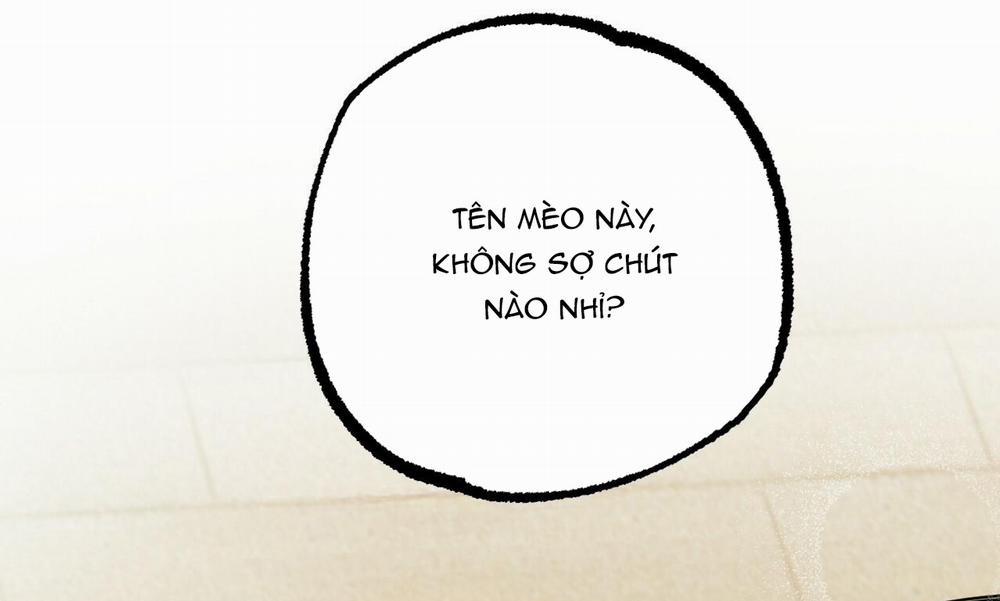 Đàn Thỏ Của Habibi 30 trang 239