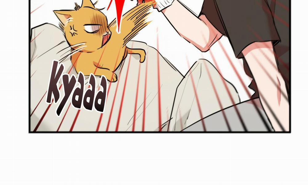 Đàn Thỏ Của Habibi 30 trang 246