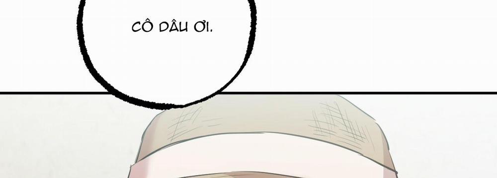 Đàn Thỏ Của Habibi 30 trang 258