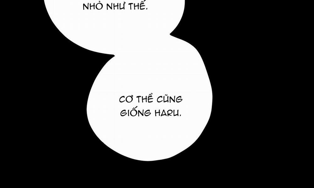 Đàn Thỏ Của Habibi 30 trang 54