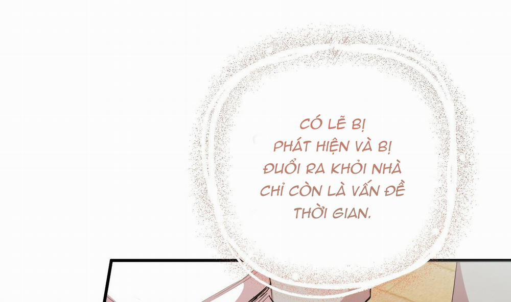 Đàn Thỏ Của Habibi 31 trang 135