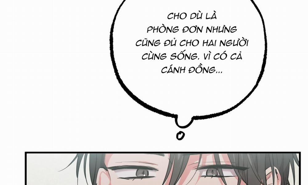 Đàn Thỏ Của Habibi 31 trang 147