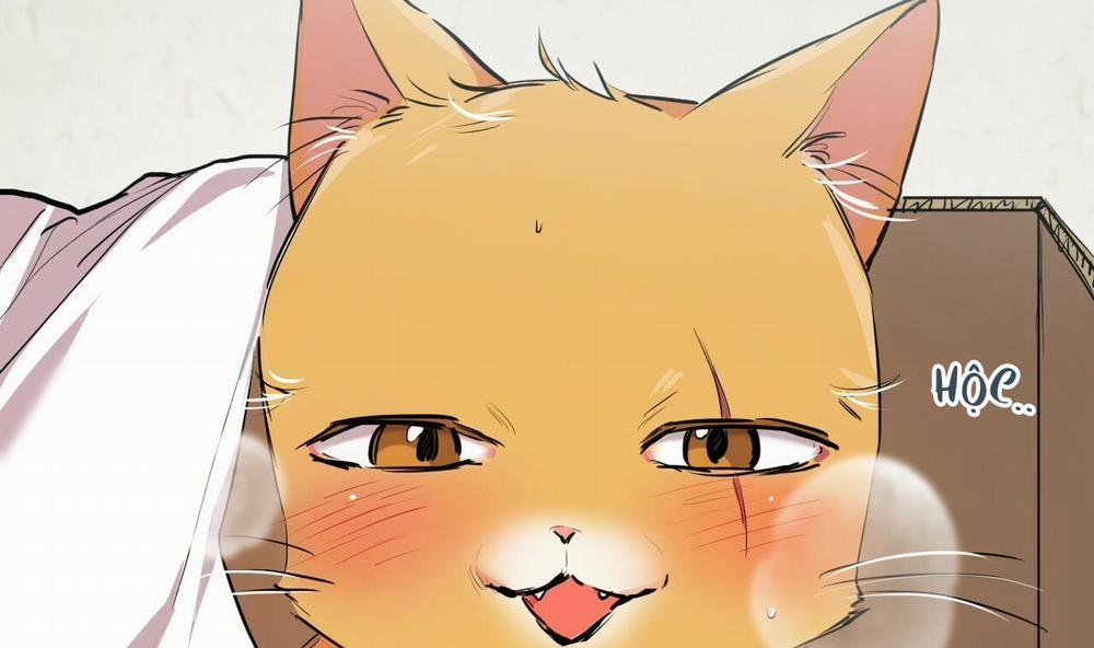 Đàn Thỏ Của Habibi 31 trang 180