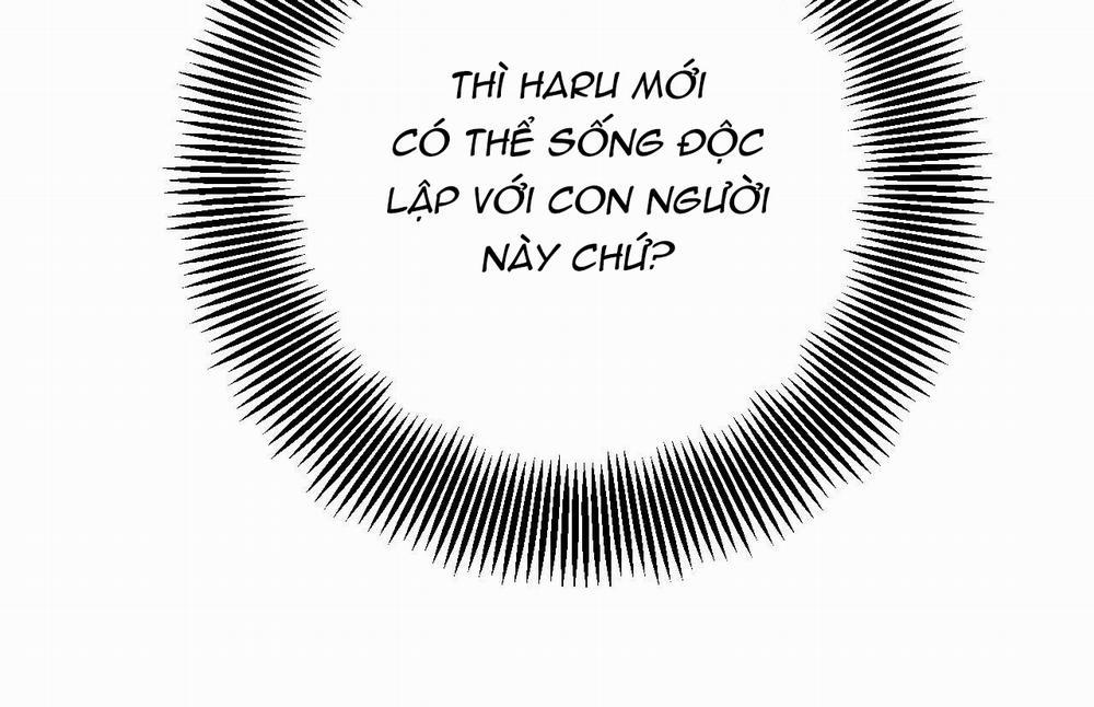 Đàn Thỏ Của Habibi 31 trang 195