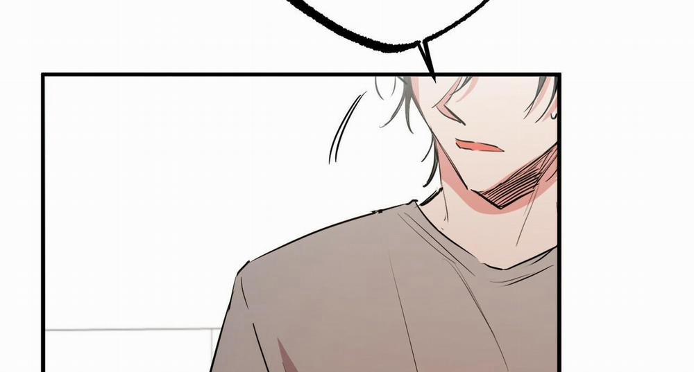 Đàn Thỏ Của Habibi 31 trang 207