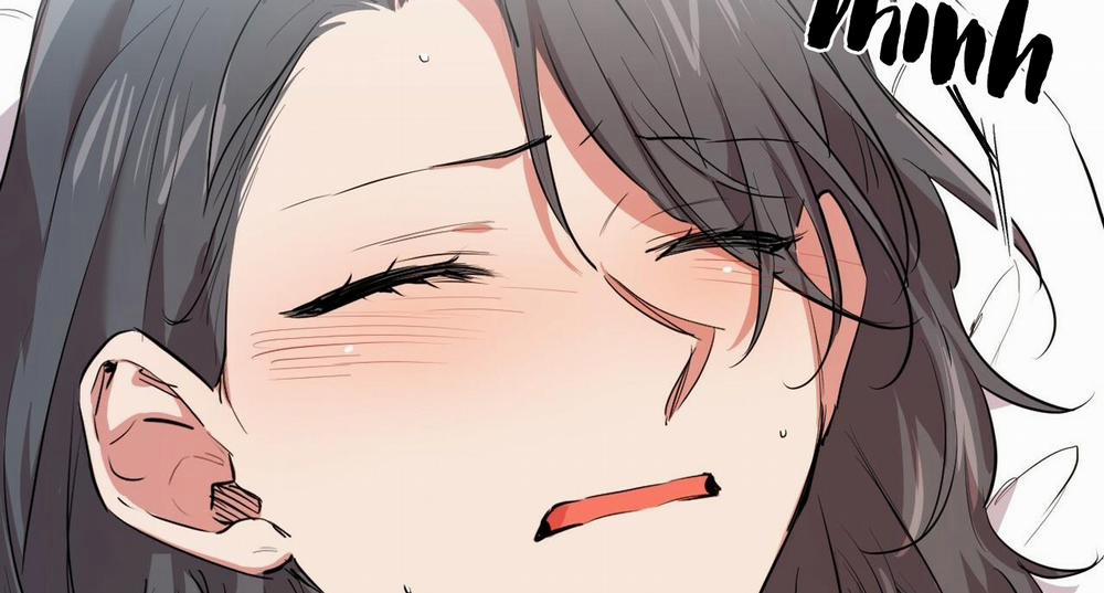 Đàn Thỏ Của Habibi 31 trang 212