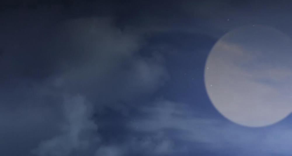 Đàn Thỏ Của Habibi 31 trang 219