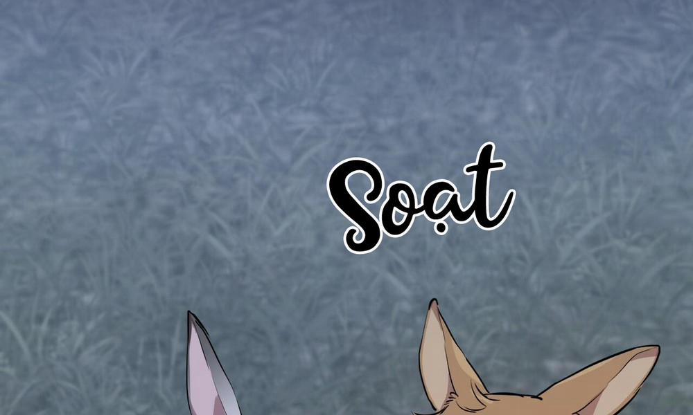 Đàn Thỏ Của Habibi 31 trang 229