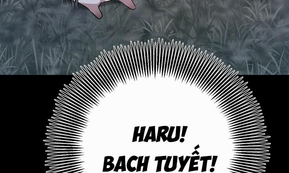 Đàn Thỏ Của Habibi 31 trang 231