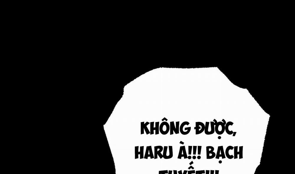 Đàn Thỏ Của Habibi 31 trang 254