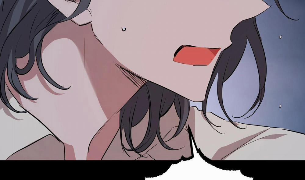 Đàn Thỏ Của Habibi 31 trang 261