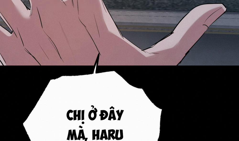 Đàn Thỏ Của Habibi 31 trang 266