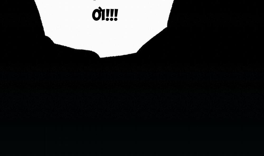 Đàn Thỏ Của Habibi 31 trang 267