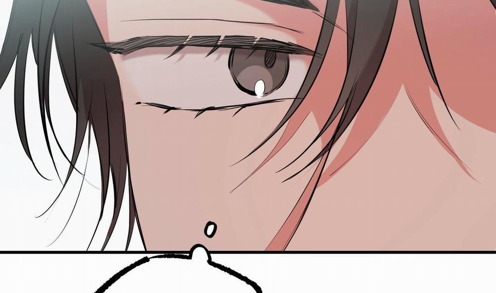 Đàn Thỏ Của Habibi 31 trang 37