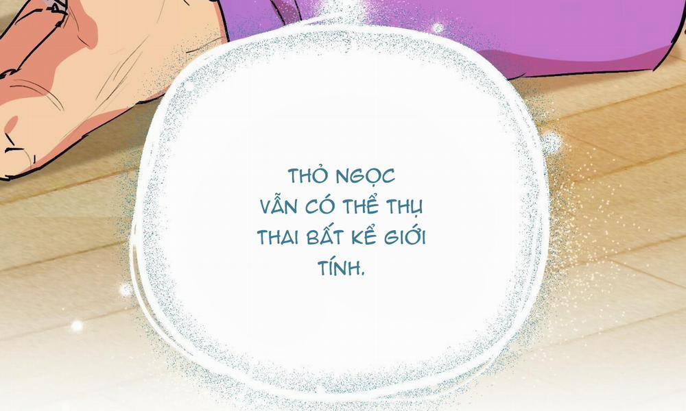 Đàn Thỏ Của Habibi 31 trang 42