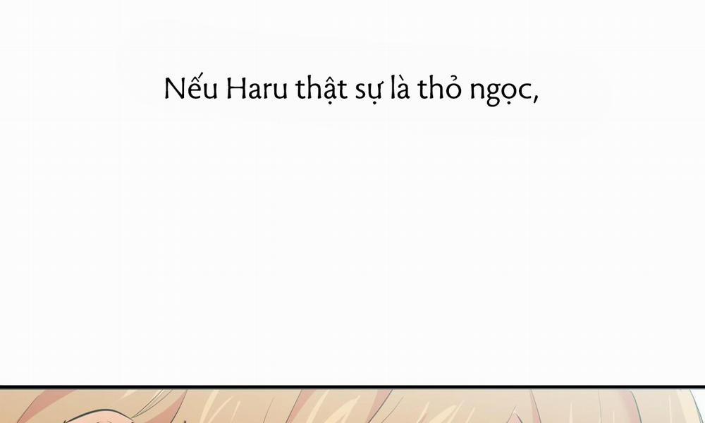 Đàn Thỏ Của Habibi 31 trang 46