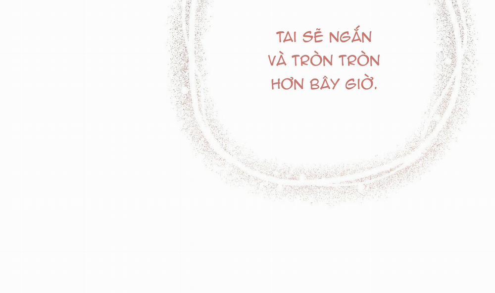 Đàn Thỏ Của Habibi 31 trang 76