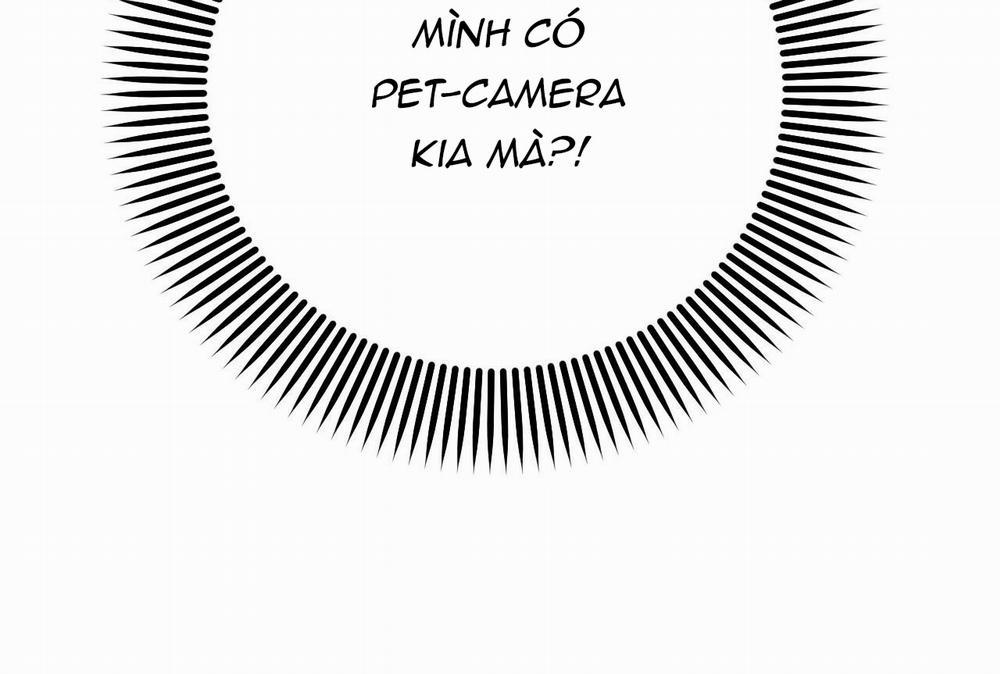 Đàn Thỏ Của Habibi 32 trang 115