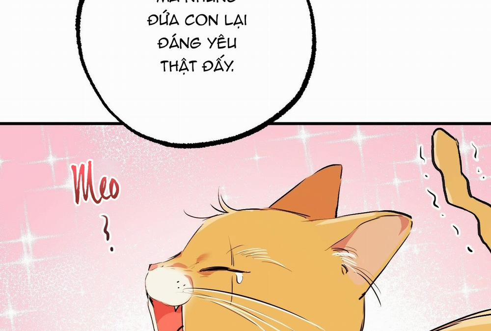 Đàn Thỏ Của Habibi 32 trang 32