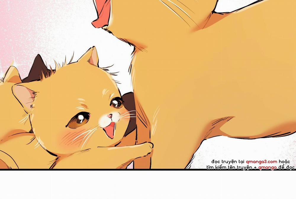 Đàn Thỏ Của Habibi 32 trang 33