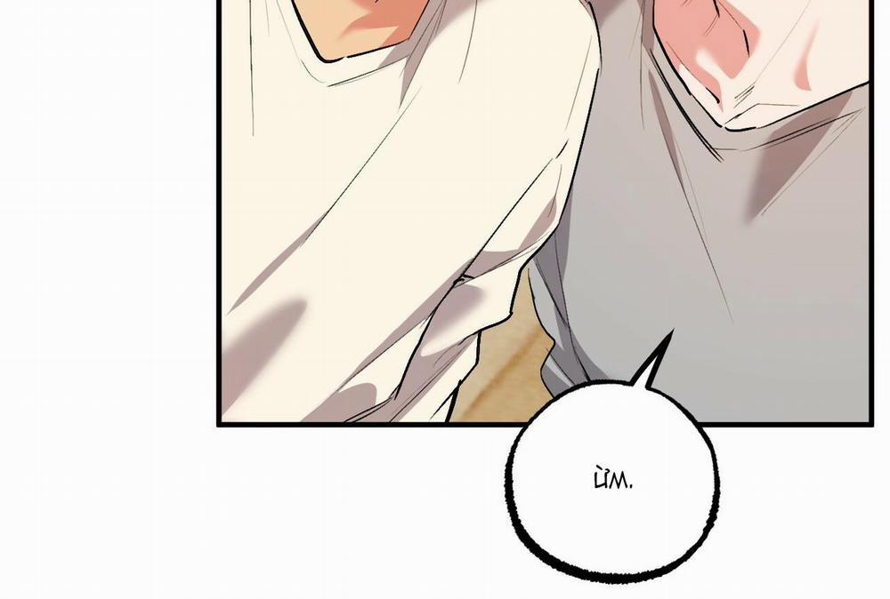 Đàn Thỏ Của Habibi 32 trang 37