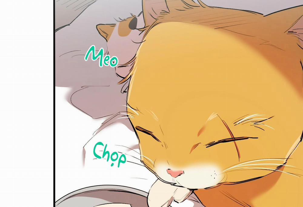 Đàn Thỏ Của Habibi 32 trang 70