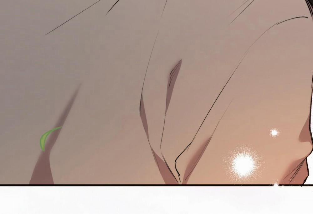 Đàn Thỏ Của Habibi 32 trang 81