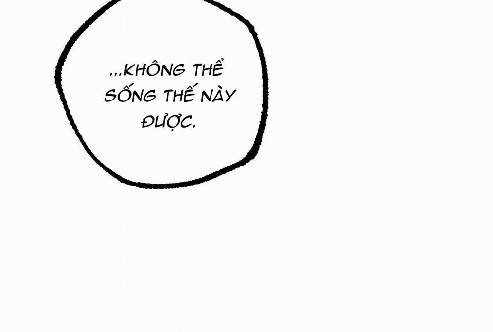 Đàn Thỏ Của Habibi 32 trang 92