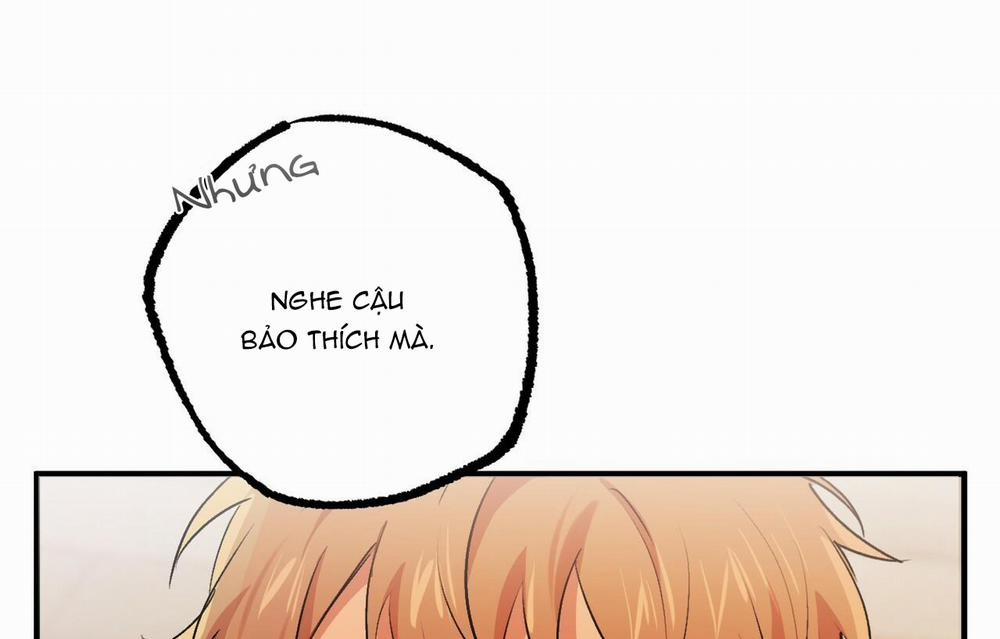 Đàn Thỏ Của Habibi 33 trang 102