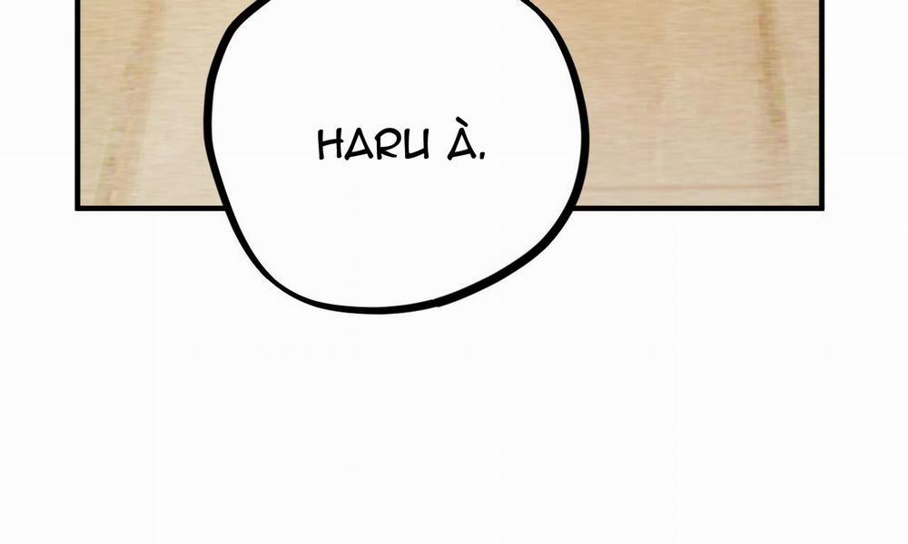 Đàn Thỏ Của Habibi 33 trang 15