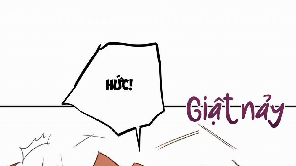 Đàn Thỏ Của Habibi 33 trang 155