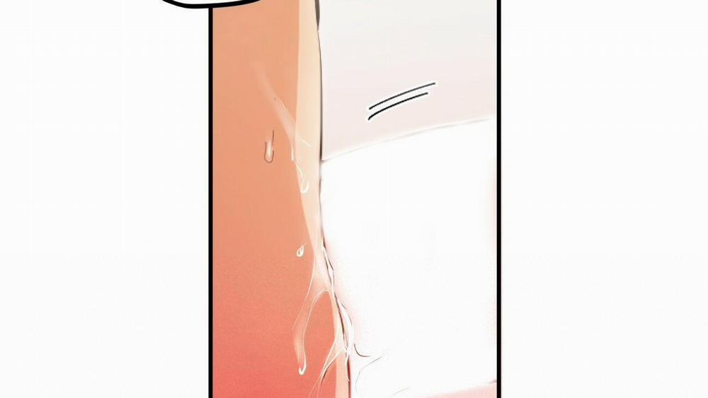 Đàn Thỏ Của Habibi 33 trang 165