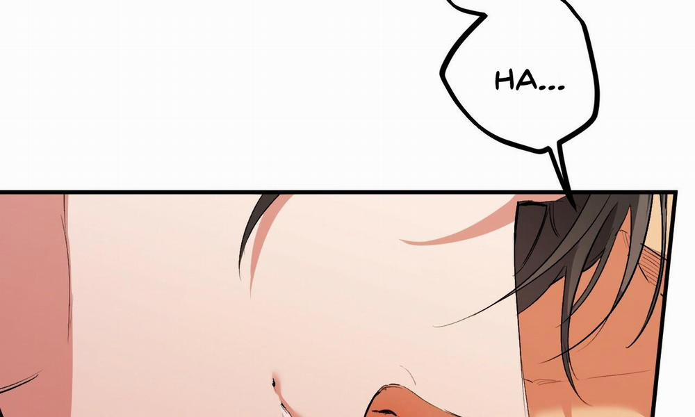 Đàn Thỏ Của Habibi 33 trang 17