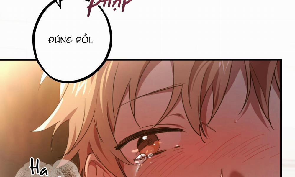 Đàn Thỏ Của Habibi 33 trang 177